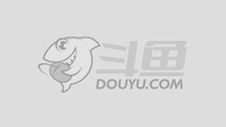 国内的发展 国内的发展